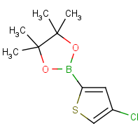 CAS: 1040281-84-2 | OR361001 | 4-Chlorothiophen-2-boronic acid, pinacol ester