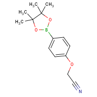 CAS: 475272-13-0 | OR361030 | 4-Cyanomethoxyphenylboronic acid, pinacol ester