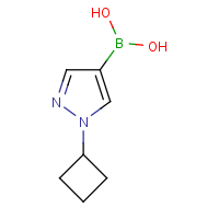 CAS: 1443112-54-6 | OR361053 | (1-Cyclobutylpyrazol-4-yl)boronic acid