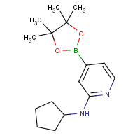 CAS:1346808-54-5 | OR361065 | 2-(N-Cyclopentylamino)pyridine-4-boronic acid, pinacol ester