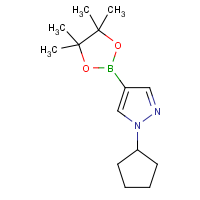 CAS: 1233526-60-7 | OR361070 | 1-Cyclopentyl-1H-pyrazole-4-boronic acid, pinacol ester