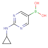 CAS: 1312942-14-5 | OR361081 | 2-(Cyclopropylamino)pyrimidine-5-boronic acid
