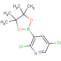 CAS: 1073371-98-8 | OR361118 | 2,5-Dichloropyridine-3-boronic acid, pinacol ester