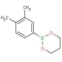 CAS: 208390-39-0 | OR361163 | 2-(3,4-Dimethylphenyl)-1,3,2-dioxaborinane