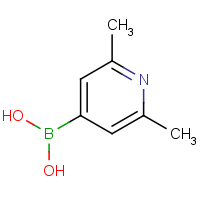 CAS: 846548-44-5 | OR361167 | 2,6-Dimethyl-pyridine-4-boronic acid