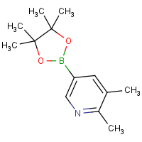CAS: 741709-65-9 | OR361169 | 2,3-Dimethylpyridine-5-boronic acid, pinacol ester