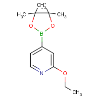 CAS: 957346-47-3 | OR361205 | 2-Ethoxypyridine-4-boronic acid, pinacol ester