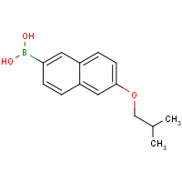 CAS: 1228310-17-5 | OR361287 | 6-Isobutoxynaphthalene-2-boronic acid