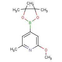 CAS: 1083168-87-9 | OR361393 | 6-Methoxy-2-picoline-4-boronic acid, pinacol ester