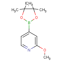 CAS: 408502-23-8 | OR361399 | 2-Methoxypyridine-4-boronic acid, pinacol ester
