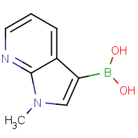 CAS: 521985-24-0 | OR361471 | 1-Methyl-1H-pyrrolo[2,3-b]pyridine-3-boronic acid
