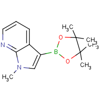 CAS: 1185427-32-0 | OR361486 | 1-Methyl-3-(4,4,5,5-tetramethyl-1,3,2-dioxaborolan-2-yl)-1H-pyrrolo[2,3-b]pyridine