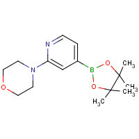 CAS: 888721-86-6 | OR361506 | 2-Morpholinopyridine-4-boronic acid, pinacol ester