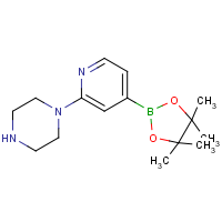 CAS: 957198-31-1 | OR361544 | 2-(Piperazin-1-yl)pyridine-4-boronic acid, pinacol ester
