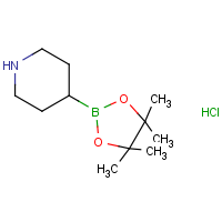 CAS: 1218790-99-8 | OR361545 | Piperidine-4-boronic acid, pinacol ester hydrochloride