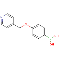 CAS:1228181-39-2 | OR361577 | 4-(Pyridin-4-ylmethoxy)phenylboronic acid