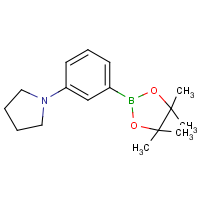 CAS: 857283-63-7 | OR361581 | 3-(Pyrrilidyl)phenylboronic acid, pinacol ester