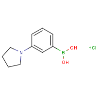 CAS:1218790-77-2 | OR361589 | 3-Pyrrolidinophenylboronic acid hydrochloride