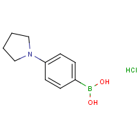 CAS:1309982-59-9 | OR361590 | 4-(Pyrrolidino)phenylboronic acid hydrochloride
