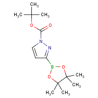 CAS: 914672-66-5 | OR361611 | 1-tert-Butoxycarbonyl-3-(4,4,5,5-tetramethyl-1,3,2-dioxaborolane-2-yl)pyrazole
