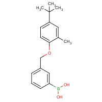 CAS: 1072951-66-6 | OR361619 | 3-[(4'-tert-Butyl-2'-methylphenoxy)methyl]phenylboronic acid