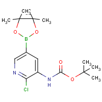 CAS: 1246184-56-4 | OR361621 | 3-tert-Butyloxycarbonylamino-2-chloropyridine-5-boronic acid, pinacol ester
