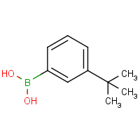 CAS: 560132-24-3 | OR361622 | 3-tert-Butylphenylboronic acid
