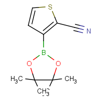 CAS: 942070-34-0 | OR361646 | 3-(4,4,5,5-Tetramethyl-1,3,2-dioxaborolan-2-yl)thiophene-2-carbonitrile