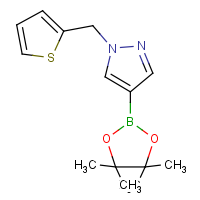 CAS: 864754-19-8 | OR361653 | 1-(Thiophen-2-ylmethyl)pyrazole-4-boronic acid, pinacol ester