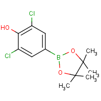 CAS: 1003298-87-0 | OR361686 | 3,5-Dichloro-4-hydroxyphenylboronic acid, pinacol ester