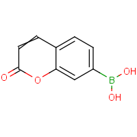 CAS: 1357078-03-5 | OR361693 | (2-Oxochromen-7-yl)boronic acid