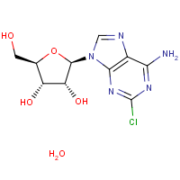 CAS: 81012-94-4 | OR3640T | 2-Chloroadenosine hemihydrate