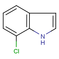 CAS: 53924-05-3 | OR3666 | 7-Chloro-1H-indole