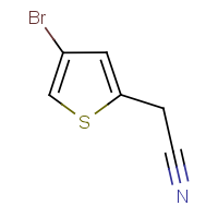 CAS: 160005-43-6 | OR3716 | 4-Bromothiophene-2-acetonitrile