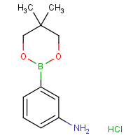 CAS: 850567-43-0 | OR3984 | 3-Aminobenzeneboronic acid, neopentyl glycol ester hydrochloride
