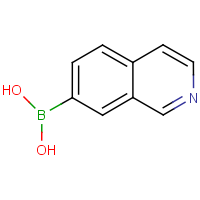 CAS:1092790-21-0 | OR40225 | Isoquinoline-7-boronic acid