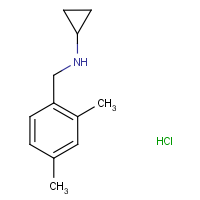 CAS: 1257535-57-1 | OR40317 | N-(2,4-Dimethylbenzyl)cyclopropylamine hydrochloride