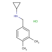 CAS: 1257535-33-3 | OR40328 | N-(3,4-Dimethylbenzyl)cyclopropylamine hydrochloride