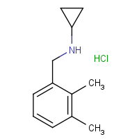 CAS: 909702-86-9 | OR40329 | N-(2,3-Dimethylbenzyl)cyclopropylamine hydrochloride