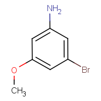 CAS: 16618-68-1 | OR40401 | 3-Bromo-5-methoxyaniline