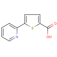 CAS: 119082-97-2 | OR4063 | 5-(Pyridin-2-yl)thiophene-2-carboxylic acid