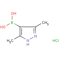 CAS: 1162262-39-6 | OR40658 | 3,5-Dimethyl-1H-pyrazole-4-boronic acid hydrochloride