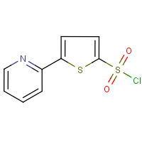 CAS:151858-64-9 | OR4077 | 5-(Pyridin-2-yl)thiophene-2-sulphonyl chloride