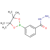 CAS:1191063-60-1 | OR41011 | 3-(Hydrazinocarbonyl)benzeneboronic acid, pinacol ester