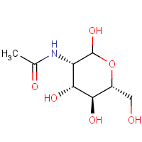 CAS: 676347-48-1 | OR42152 | 2-Acetamido-2-deoxy-D-mannopyranose monohydrate