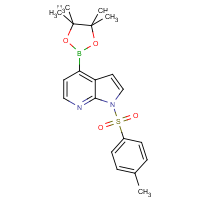 CAS:916176-50-6 | OR42236 | 1-Tosyl-1H-pyrrolo[2,3-b]pyridine-4-boronic acid, pinacol ester