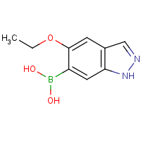 CAS:2304634-56-6 | OR42257 | 5-Ethoxy-1H-indazole-6-boronic acid