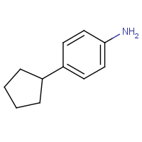 CAS:20029-53-2 | OR42268 | 4-Cyclopentylaniline