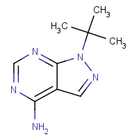 CAS: 862728-60-7 | OR42291 | 1-tert-Butyl-1H-pyrazolo[3,4-d]pyrimidin-4-amine