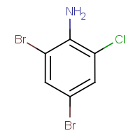 CAS: 874-18-0 | OR4353 | 2-Chloro-4,6-dibromoaniline